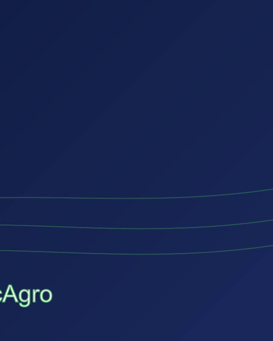 Equipe Comunicagro no campo
