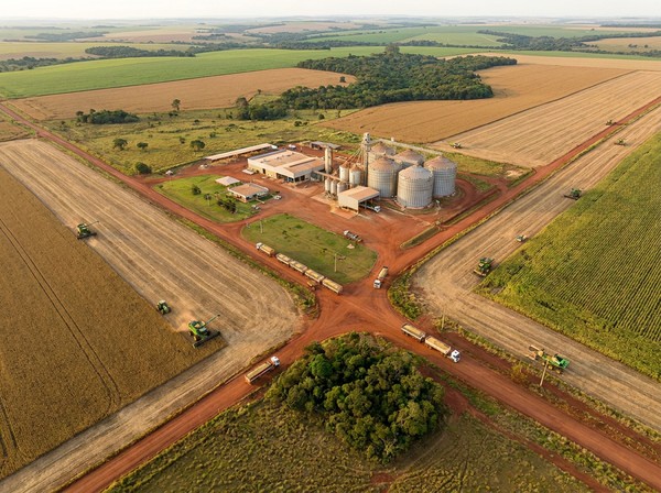 Terra Fértil Consultoria